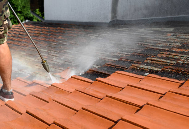 Best Roof Pressure Washing  in New Knoxville, OH
